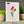 Load image into Gallery viewer, 821 - 03 Birthday Cards - Plantable Greetings - Painted Door on Main