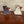 Load image into Gallery viewer, 876 - 02 Quirky Birds - A Touch of Glass - Painted Door on Main