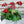 Load image into Gallery viewer, 876 - 04 Ladybug Plant Picks - A Touch of Glass - Painted Door on Main