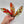 Load image into Gallery viewer, 876 - 08 Glass Feathers - A Touch of Glass - Painted Door on Main
