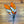 Load image into Gallery viewer, 876 - 08 Glass Feathers - A Touch of Glass - Painted Door on Main