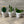 Load image into Gallery viewer, 009-18 Potted Cactus - A Touch Of Glass
