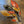 Load image into Gallery viewer, 876-08 Glass Feathers - A Touch of Glass - Painted Door on Main