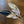 Load image into Gallery viewer, 876-08 Glass Feathers - A Touch of Glass - Painted Door on Main