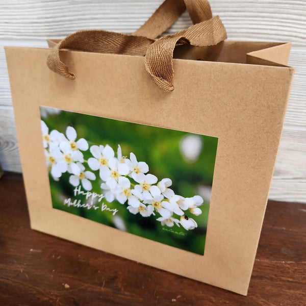 007 - 01 Photography Gift Bags - Ealanta Photography - Painted Door on Main