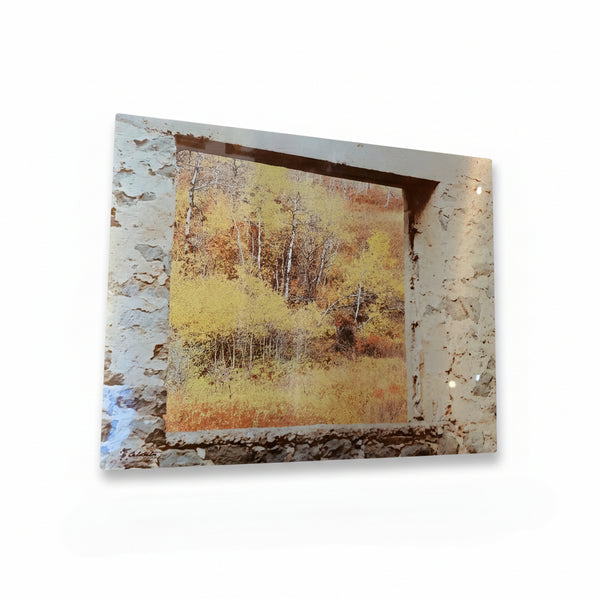 Wall and Shelf Art - Ealanta Photography - Painted Door on Main