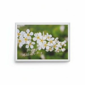 Greeting Cards - Ealanta Photography - Painted Door on Main