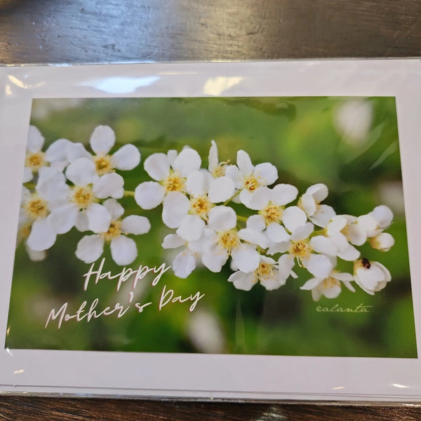 007 - 13 Greeting Cards - Ealanta Photography - Painted Door on Main