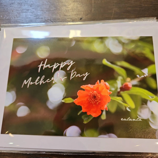 007 - 13 Greeting Cards - Ealanta Photography - Painted Door on Main
