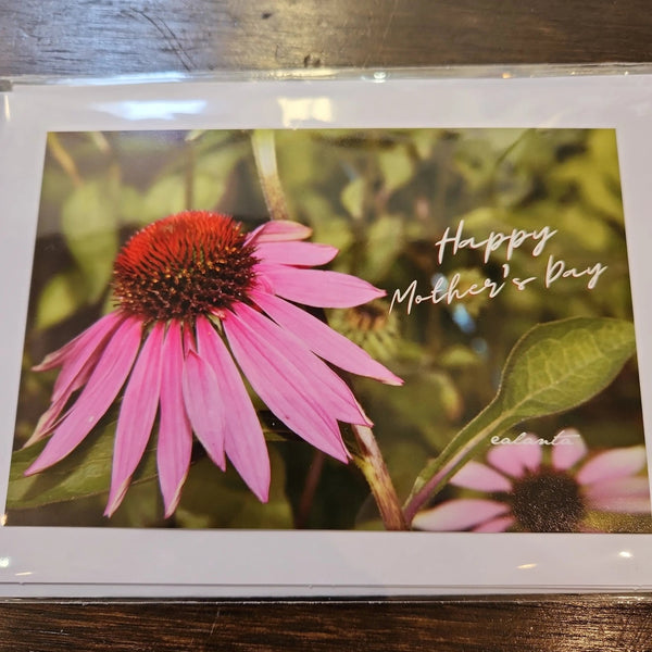 007 - 13 Greeting Cards - Ealanta Photography - Painted Door on Main