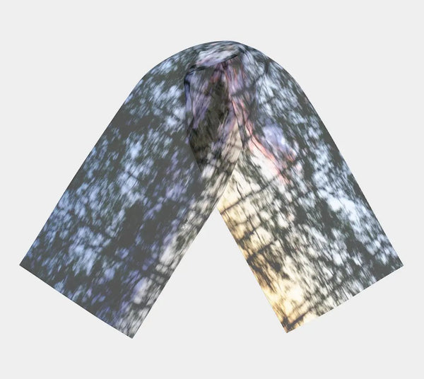 007 - 23 Long Scarves - Ealanta Art Wear - Painted Door on Main