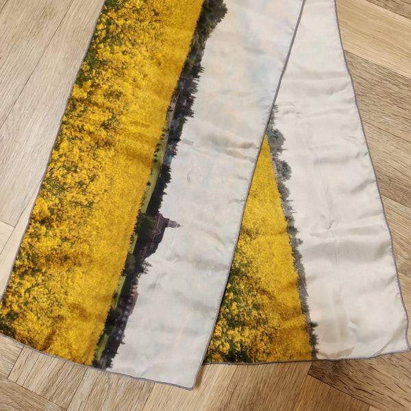 007 - 23 Long Scarves - Ealanta Art Wear - Painted Door on Main