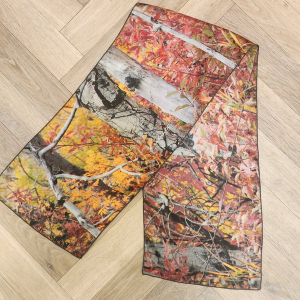 007 - 23 Long Scarves - Ealanta Art Wear - Painted Door on Main