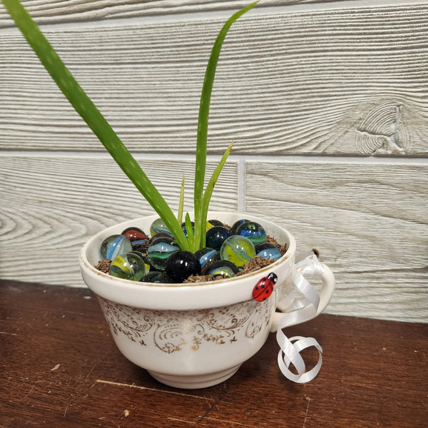 007 - 80 Potted Plants - Ladybug Blossoms - Painted Door on Main