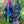 042 - 29 Krystal Convertible Bag - Sheila's Satchels - Painted Door on Main