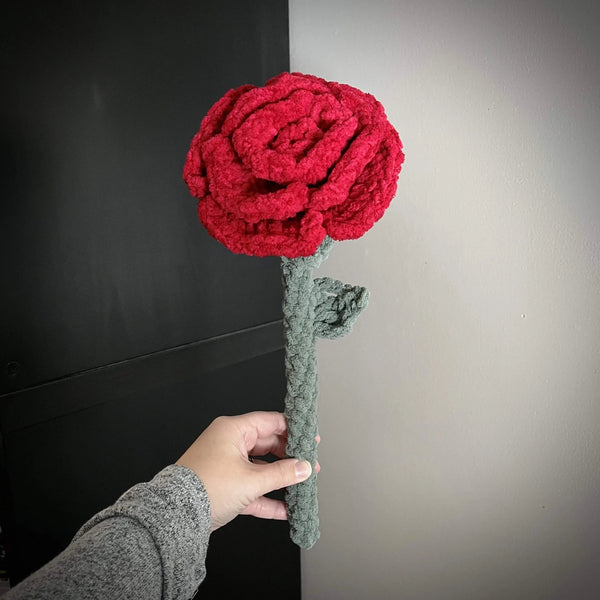 096 - 03 Plushy Plants - Willing Hands Crochet - Painted Door on Main