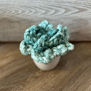 096 - 03 Plushy Plants - Willing Hands Crochet - Painted Door on Main