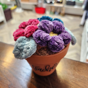 096 - 03 Plushy Plants - Willing Hands Crochet - Painted Door on Main