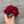 Load image into Gallery viewer, 096 - 34 Halloween Collection - Willing Hands Crochet - Painted Door on Main
