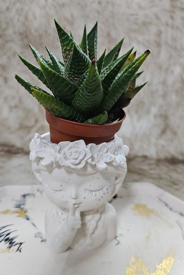113 - 19 Secret Keeper Vase - Flickering Aromas - Painted Door on Main