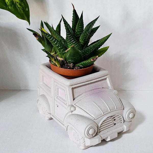 113 - 34 Jeep Planters - Flickering Aromas - Painted Door on Main