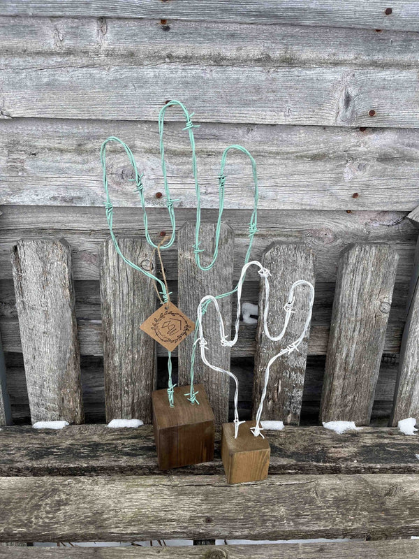 114 - 09 Barb Wire Cactus Set - Rafter Diamond W - Painted Door on Main