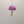 Load image into Gallery viewer, 116 - 25 Mushroom Ornaments - Elaine Grandon Fibre Arts - Painted Door on Main
