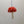 Load image into Gallery viewer, 116 - 25 Mushroom Ornaments - Elaine Grandon Fibre Arts - Painted Door on Main
