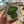 Load image into Gallery viewer, 116 - 27 Mushroom Brooches - Elaine Grandon Fibre Arts - Painted Door on Main

