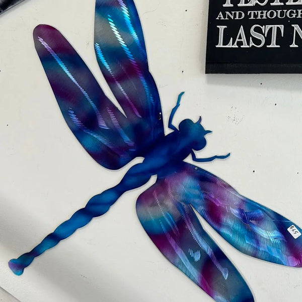 119 - 05 Large Dragonfly - Just art by Mark - Painted Door on Main