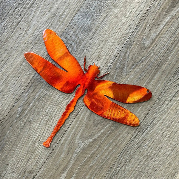 119 - 10 Small Dragonfly - Just art by Mark - Painted Door on Main