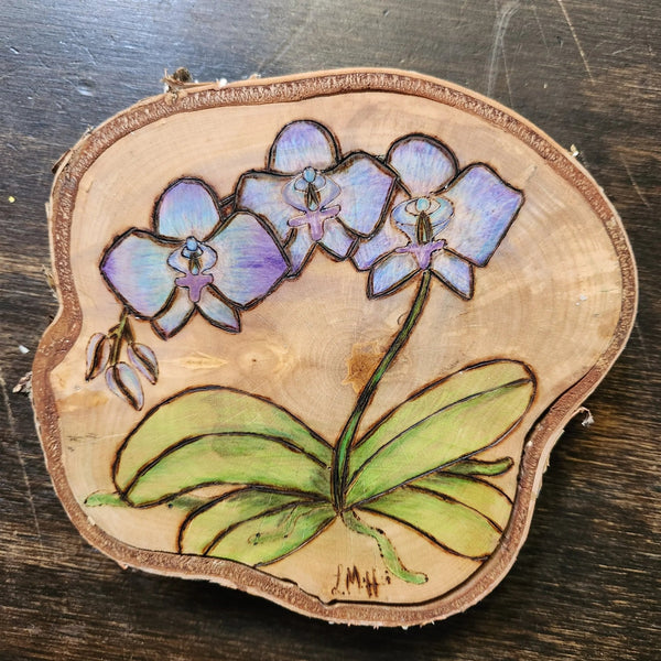 124 - 02 Wood Burn Art - The Burnt Brush - Painted Door on Main
