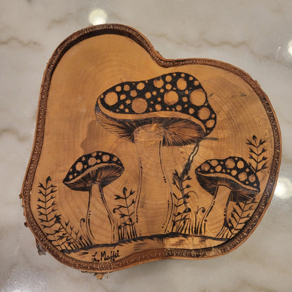 124 - 02 Wood Burn Art - The Burnt Brush - Painted Door on Main