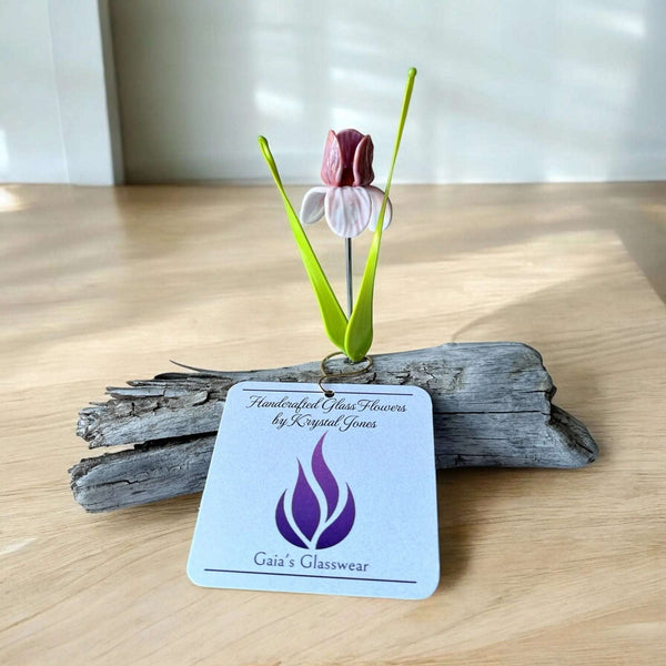 127 - 01 Glass Flowers on Driftwood - Gaia's Glasswear - Painted Door on Main