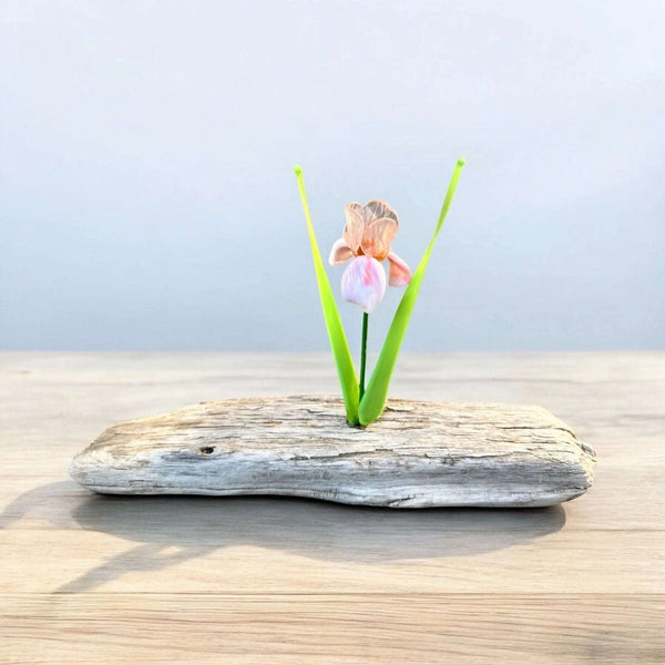 127 - 01 Glass Flowers on Driftwood - Gaia's Glasswear - Painted Door on Main
