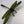 Load image into Gallery viewer, 134 - 19 Fork Dragonfly - Tevlan Glass - Painted Door on Main
