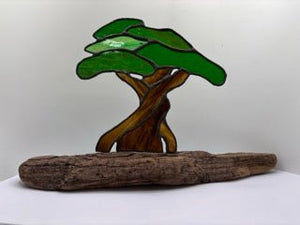 134 - 30 Bonsai Tree on Driftwood - Tevlan Glass - Painted Door on Main