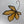 Load image into Gallery viewer, 134 - 35 Maple Leaf Suncatcher - Tevlan Glass - Painted Door on Main
