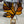 Load image into Gallery viewer, 134 - 35 Maple Leaf Suncatcher - Tevlan Glass - Painted Door on Main
