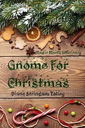 141 - 02 Gnome For Christmas: Magic Meets Efficiency - Diane Stringam Tolley - Painted Door on Main