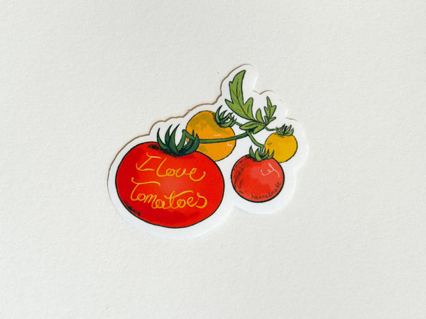 146 - 06 Art Stickers - HannadMade - Painted Door on Main