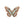 Wing Earrings - Monarca Jewelry & Decor - Painted Door on Main