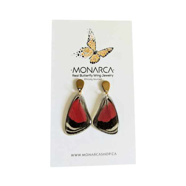 147 - 01 Butterfly Wing Earrings - Monarca Jewelry & Decor - Painted Door on Main