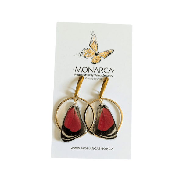 147 - 01 Butterfly Wing Earrings - Monarca Jewelry & Decor - Painted Door on Main