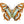 Geometric Butterfly Wing Earrings - Painted Door on Main - 147 Monarca Jewelry & Decor