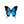 Round Butterfly Wing Pendant Necklace - Painted Door on Main - 147 Monarca Jewelry & Decor