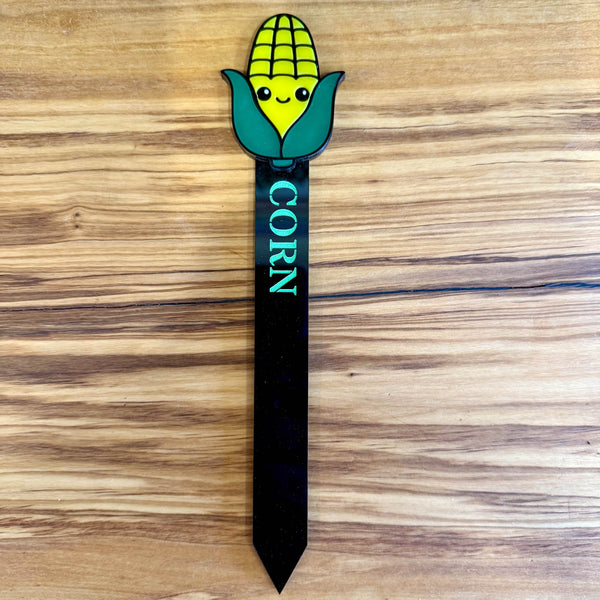 151 - 04 Acrylic Garden Stakes - Noodle Art - Painted Door on Main