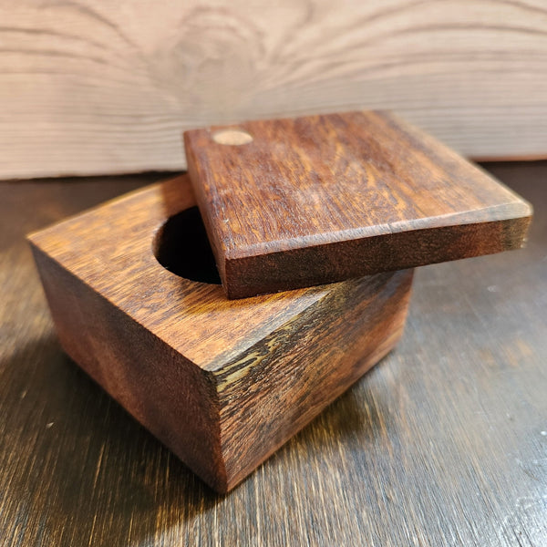 154 - 03 Swivel Lid Wood Box - Bob Shave Woodworks - Painted Door on Main