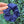 Load image into Gallery viewer, 155 - 01 Organic Waffle Scrunchies - Alayna B &amp; Co. - Painted Door on Main
