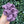 Load image into Gallery viewer, 155 - 02 Organic Bamboo Scrunchies - Alayna B &amp; Co. - Painted Door on Main
